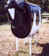 A dairy cow fashioned from a 500 gallon oil tank.