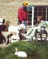 A dog, a lamb and a bunny visit at the nursing home.