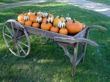 The garden cart decked out with pumpkins and squash.