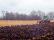 Seagulls gather to dine on worms left in the freshly plowed fields.