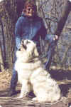 Boomer sits for Sarah while on a walk in the park.